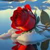 user4337986154204