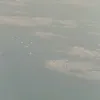 oozzzz_123