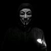 anonymous_collective081