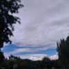 ayumina20