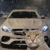 verson_tt_account_daicho