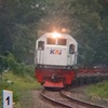 bie_keselek_ballast