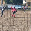 matteo__bottaro