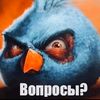 tictokpidor