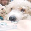 abrilanimations