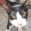 tatjanaugrina4