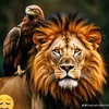 leo.sp.rj677958748