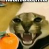 mandarina___xd