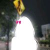 evely_nn17