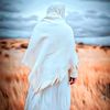alshayeb0880