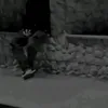 ali170376