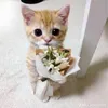 bakamoew