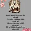 phungcuong49m1