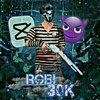 rs.robi.10k