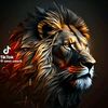 semadof