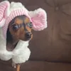 www.tiktok._pretinha2022