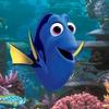 dori..p