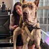 k9girl