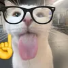 _kupalz2