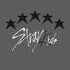 4straykids_fan