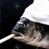 fish.rizzler