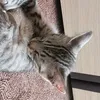 guck_nd04