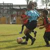 wafiytaqiuddin99