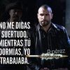 el.gato4073