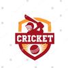 cricketeleven11