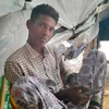 haarun.abdirahman