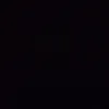 dikiy_ogyres