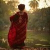 nahar_is_back643