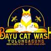 Bayu Cat Wash