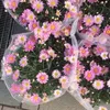 roova_16