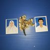 agus.setiawan_1711