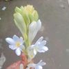 user33139575001943