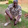 usee936sammy