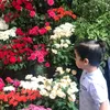 hanane.zad