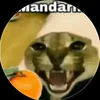 gato_pitudo