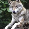 seba.seba61