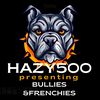 hazy500bully