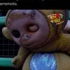 gato62504
