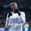 vini_thegoat2