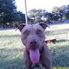 jameswillis7709