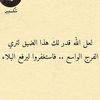 yasminhassan5135