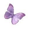 qiilaa_1