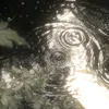 fufghyi