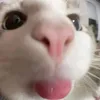 ba_ga99