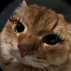 sabrixxnaaa