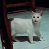 alonewalker5942